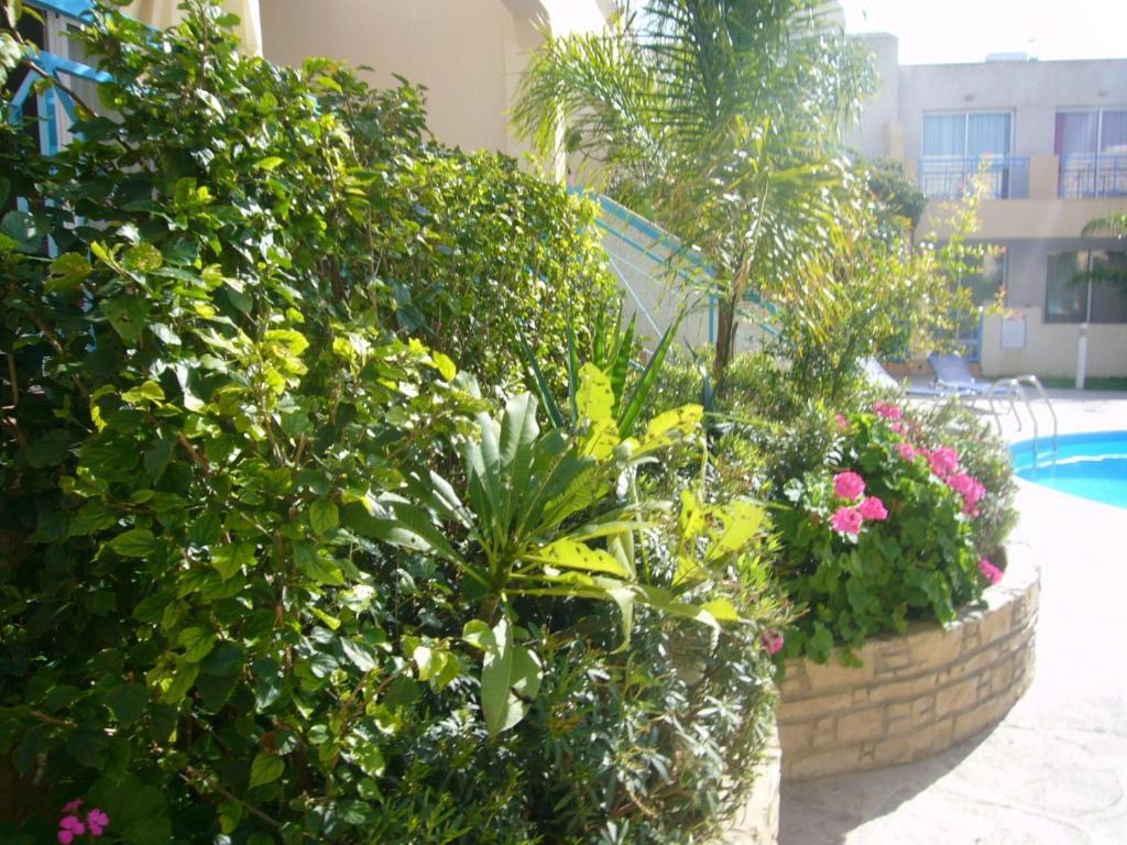 Blue Oasis Gardens Lägenhet Limassol Exteriör bild