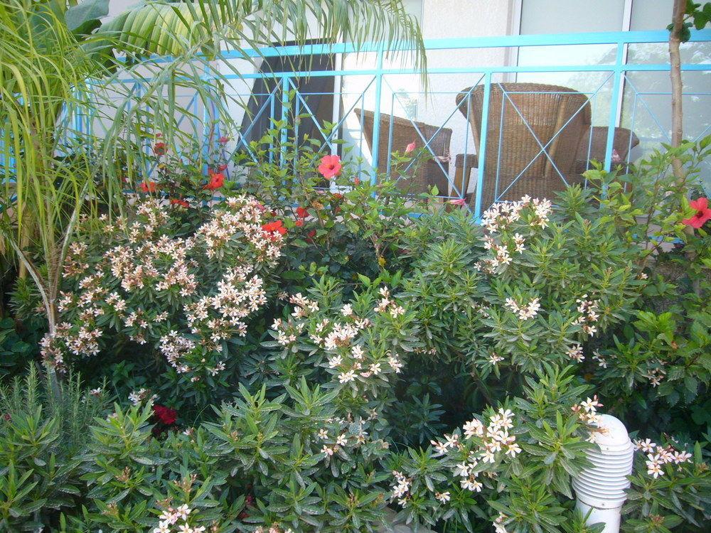 Blue Oasis Gardens Lägenhet Limassol Exteriör bild